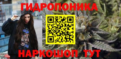 таблы Краснознаменск