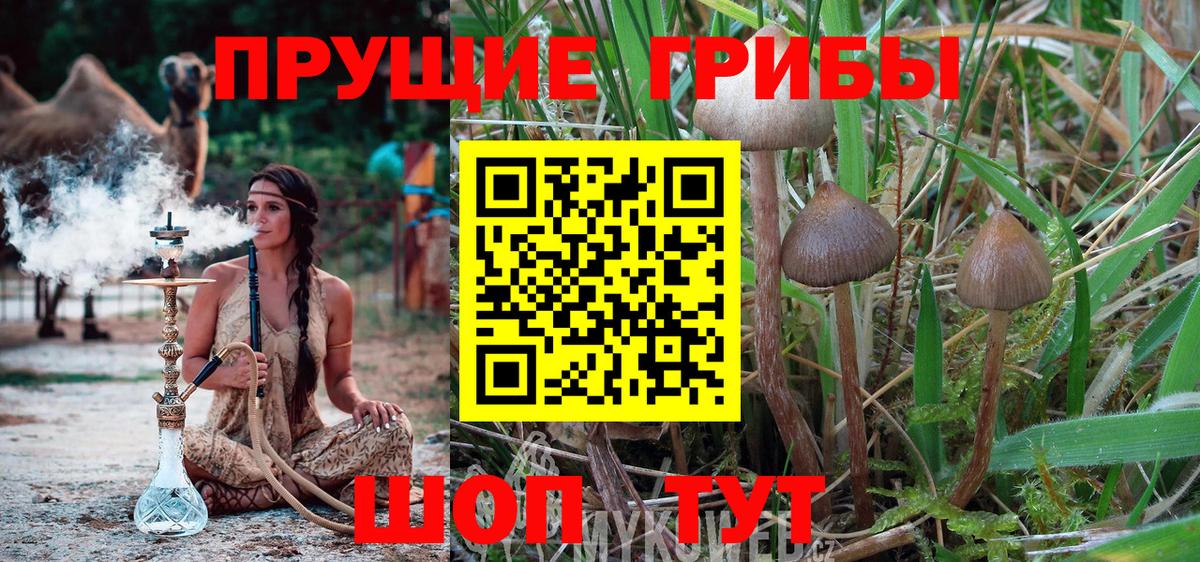 Псилоцибиновые грибы Magic Shrooms  Галлюциногенные грибы MAGIC MUSHROOMS  Вход с VPN  Каспийск 