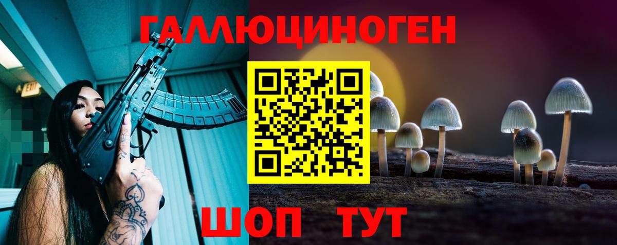 Галлюциногенные грибы Cubensis Каспийск